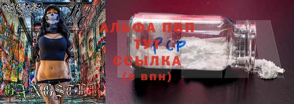 индика Бугульма