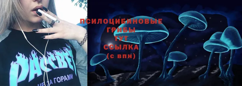 ОМГ ОМГ сайт  Ковылкино  Псилоцибиновые грибы Psilocybine cubensis  закладка 